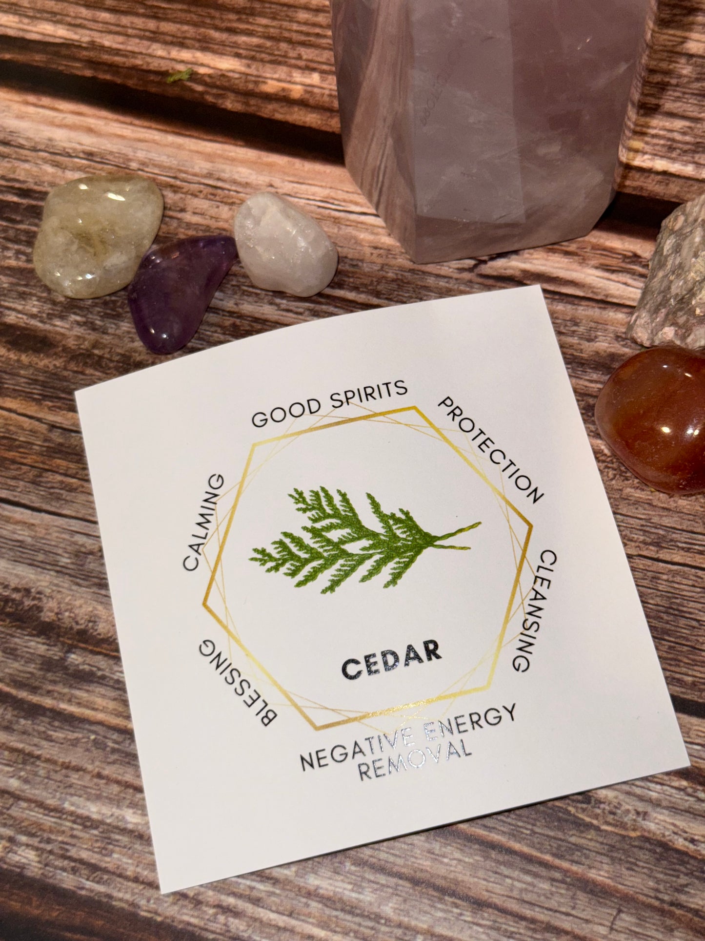 Kiwi, Mint and Cedar Spring Smudge Stick