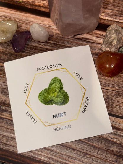 Kiwi, Mint and Cedar Spring Smudge Stick